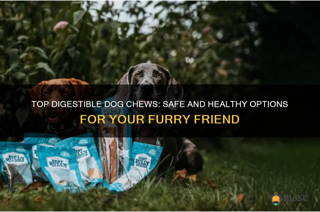 best digestable dog chews