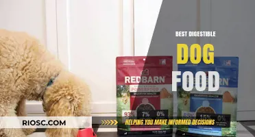 Top Picks for Tummies: The Most Digestible Dog Foods for Sensitive Stomachs