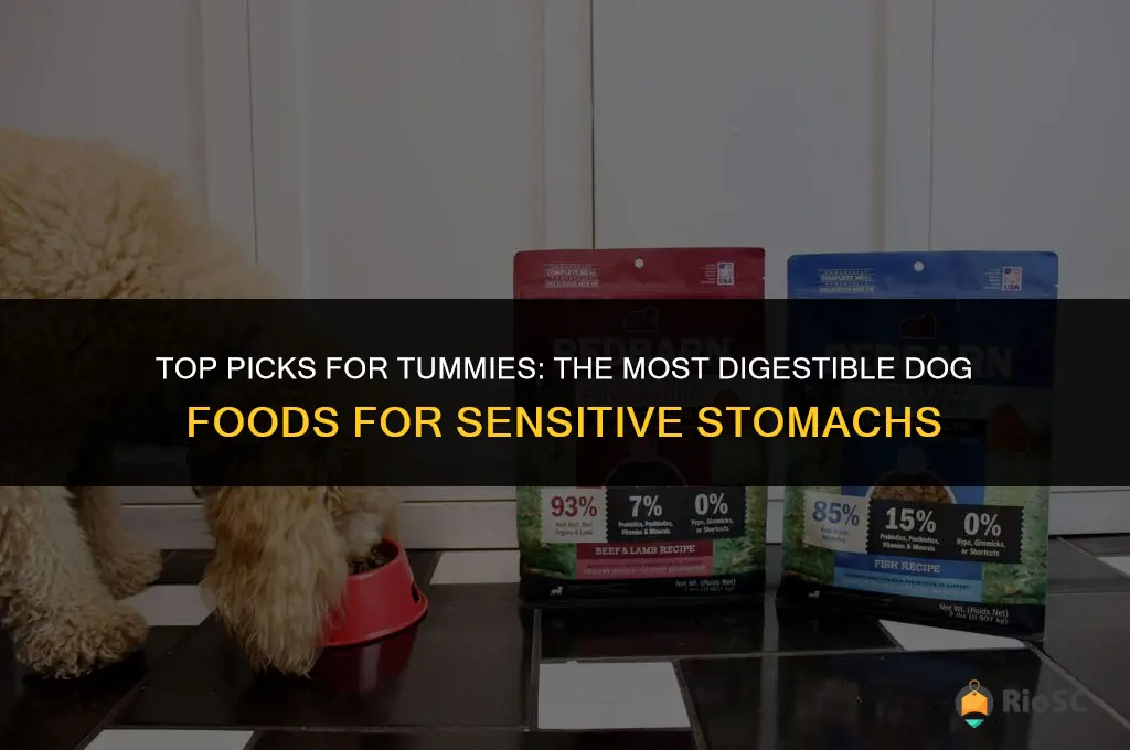 best digestible dog food