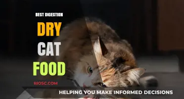 Optimal Digestive Health: Top Dry Cat Food Choices for Sensitive Stomachs