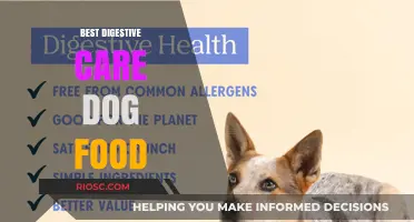 Top Digestive Care Dog Foods for Optimal Gut Health and Happy Pups