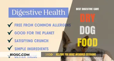 Optimal Digestive Health: Top Dry Dog Food Choices for Sensitive Stomachs