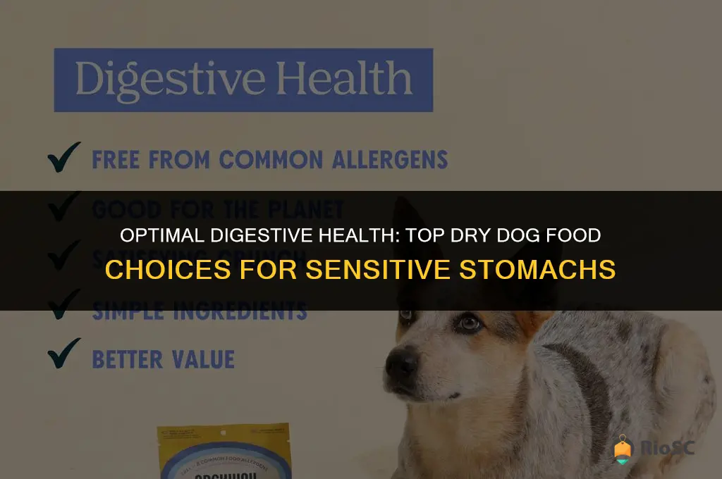 best digestive care dry dog food
