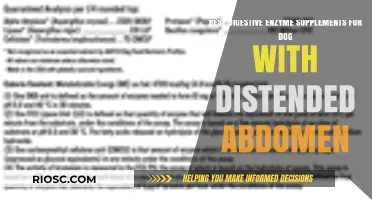 Effective Digestive Enzyme Supplements to Relieve Distended Abdomen in Dogs