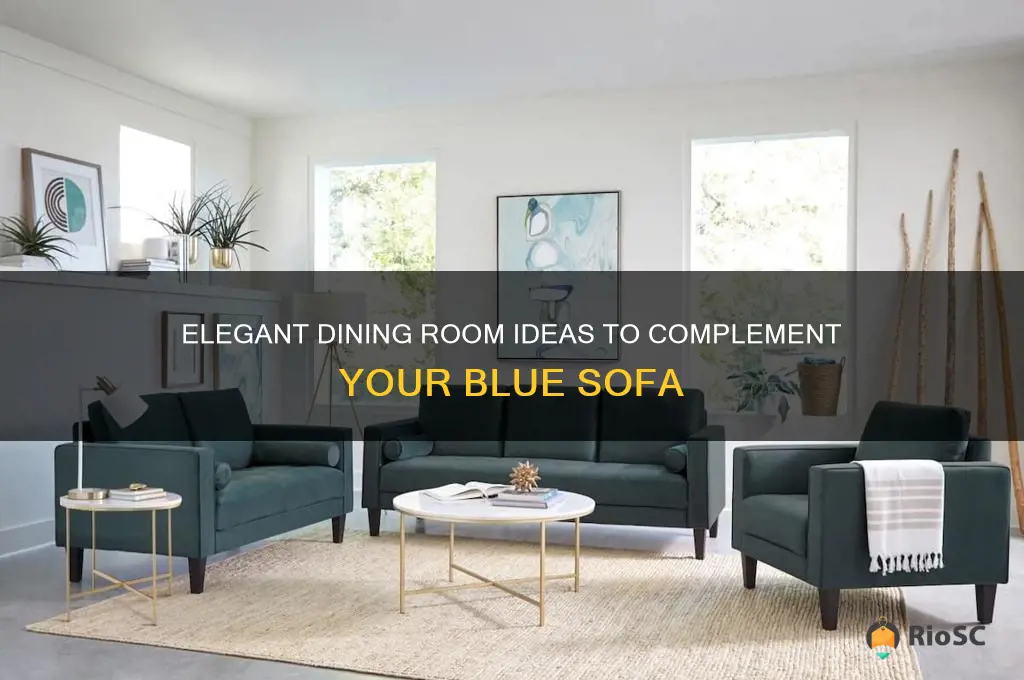 best dining room for blue sofa