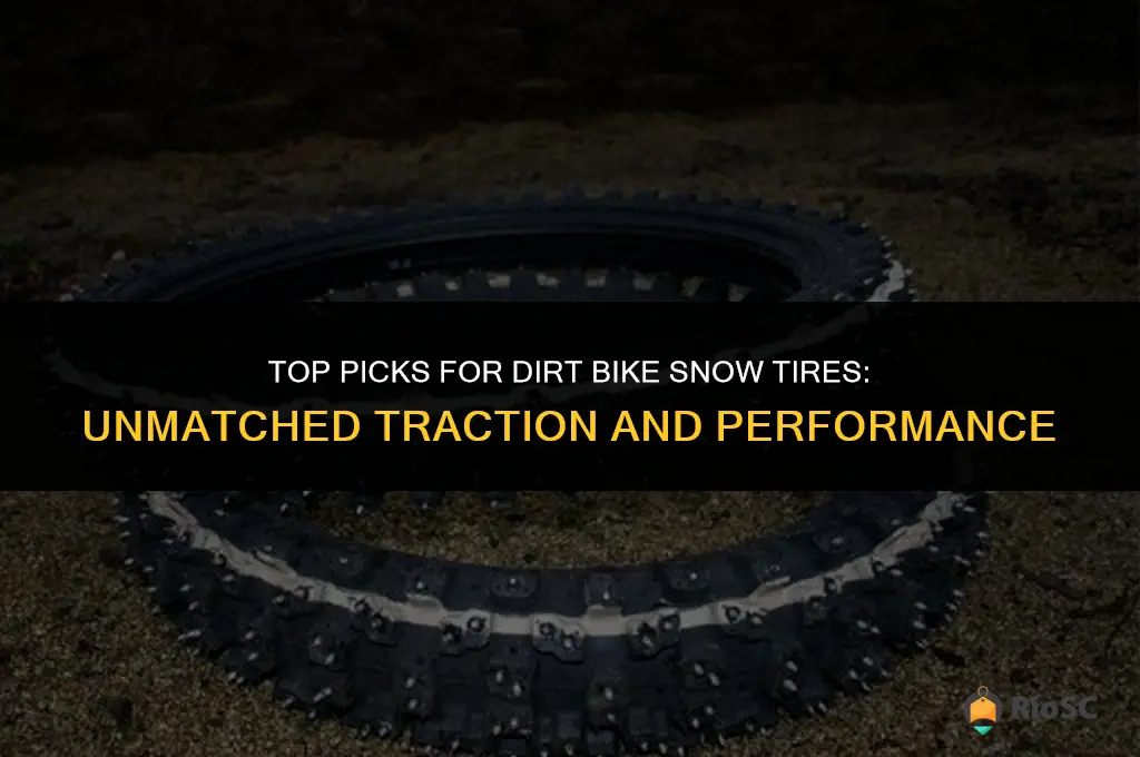 best dirt bike snow tires