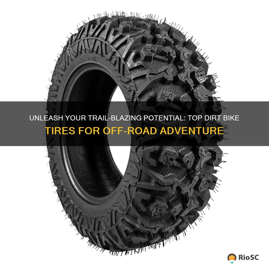 best dirt bike tires for trails