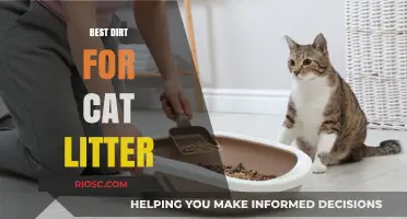 Top-Rated Dirt Alternatives for Cat Litter: Eco-Friendly and Odor-Control Options