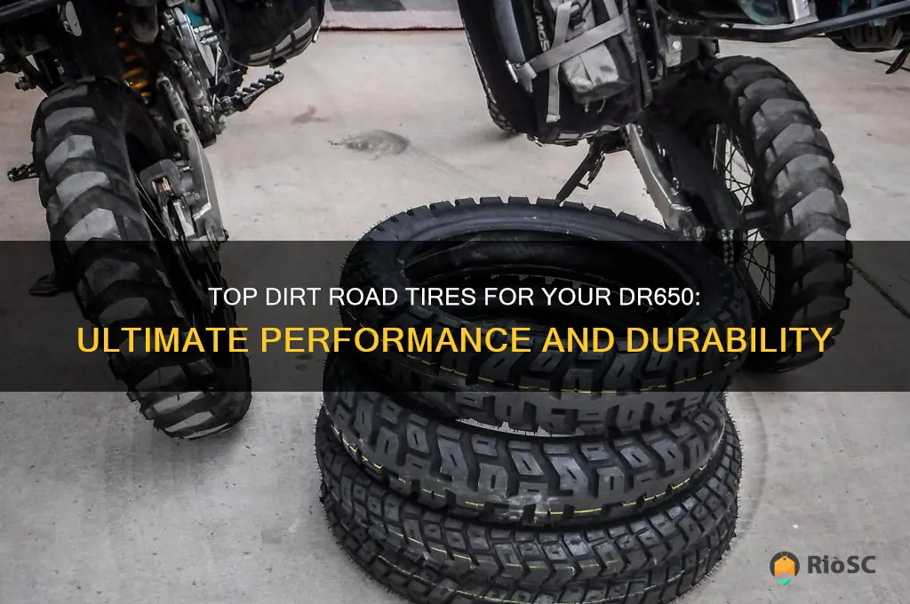 best dirt road tires dr650