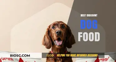 Top Picks for Budget-Friendly Dog Food: Quality Nutrition Without Breaking the Bank
