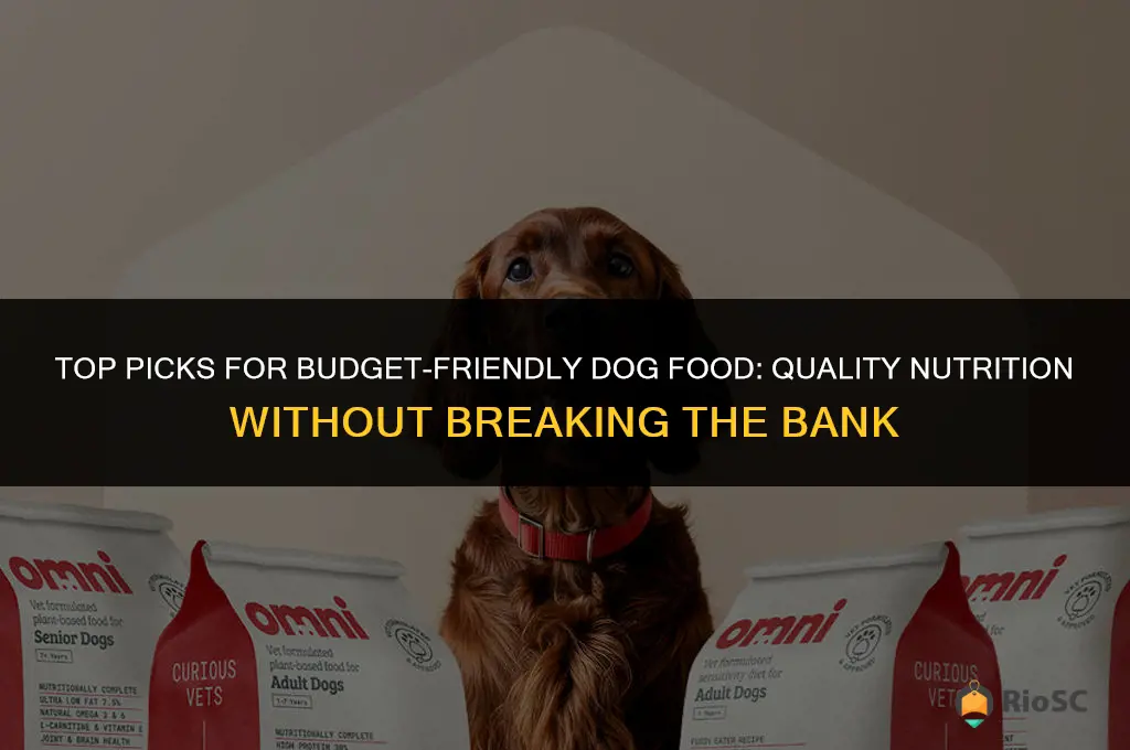 best discount dog food