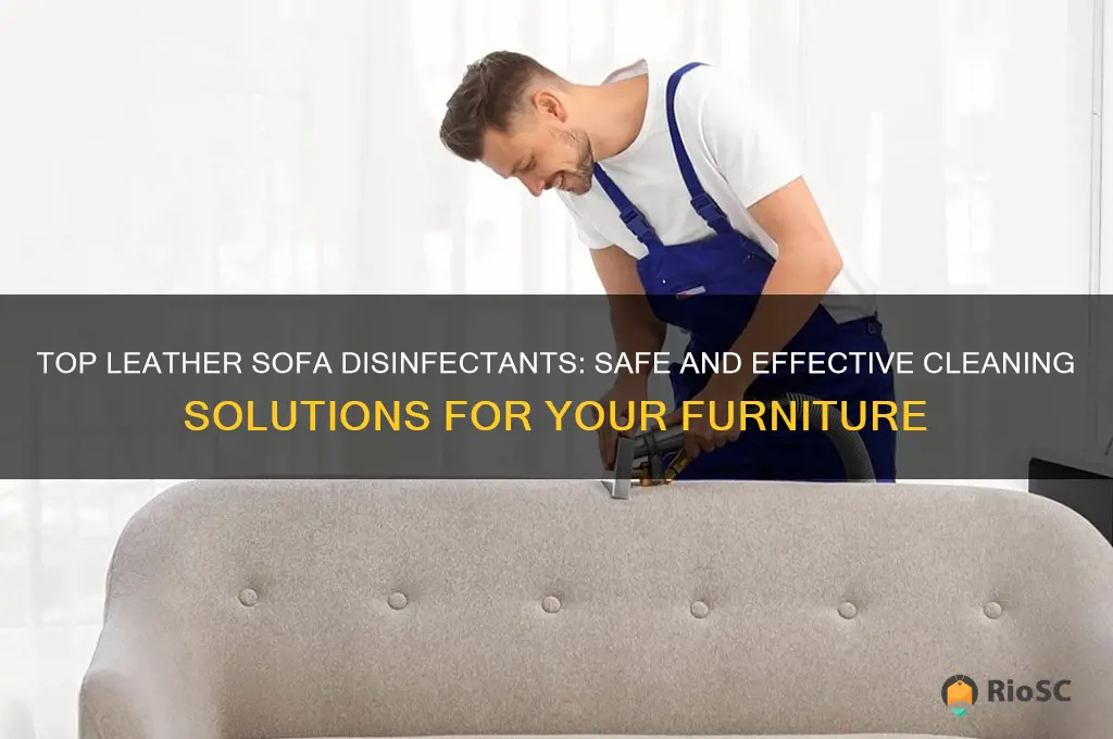 best disinfectant for leather sofas
