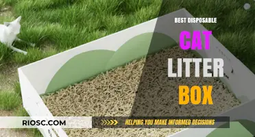 Top Picks for Eco-Friendly and Convenient Disposable Cat Litter Boxes
