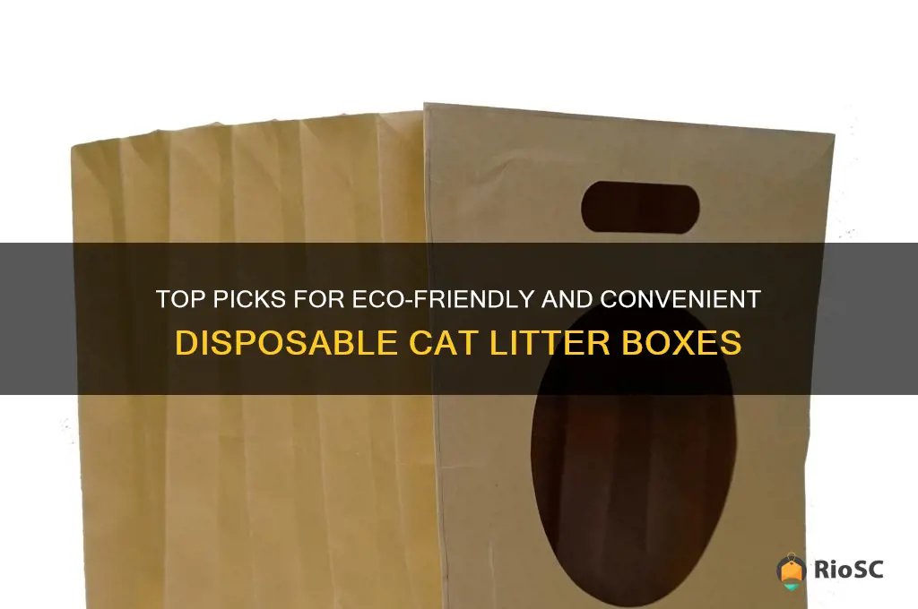 best disposable cat litter box