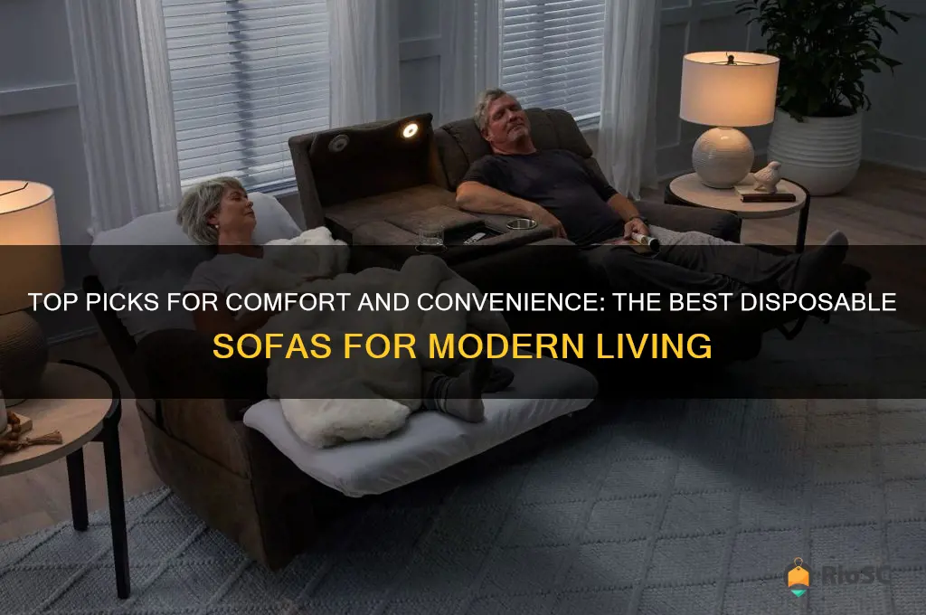 best disposable sofa