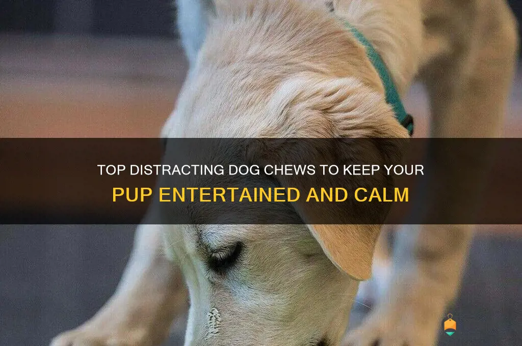 best distracting dog chews