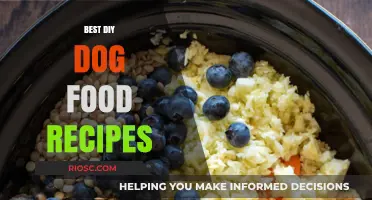 Homemade Delights: Crafting Nutritious and Delicious Dog Food at Home