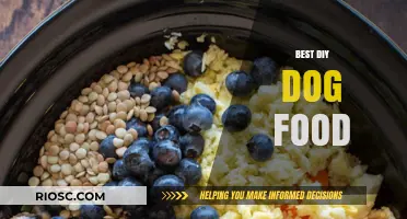 Homemade Nutrition: Crafting the Perfect DIY Dog Food for Your Furry Friend