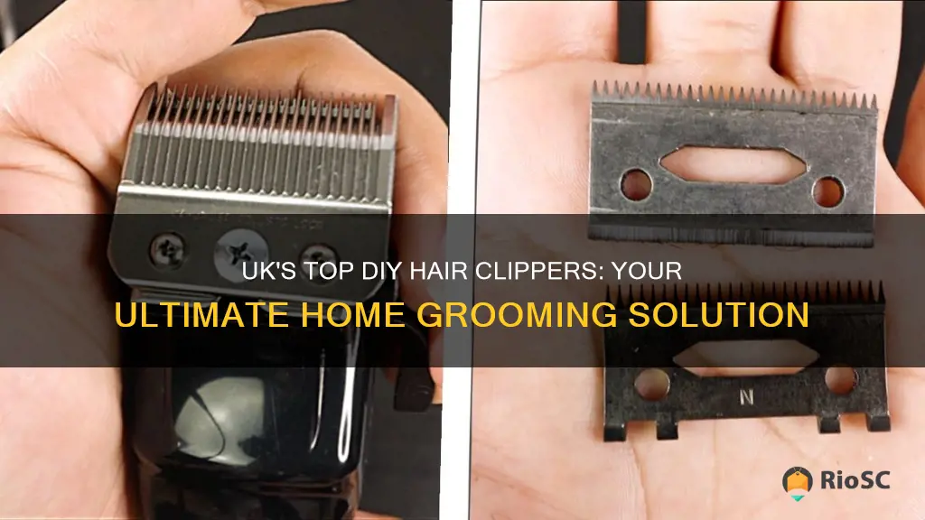 best diy hair clippers uk