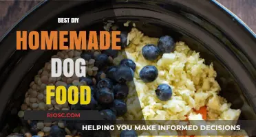 Crafting Canine Cuisine: A Guide to the Best DIY Homemade Dog Food Recipes