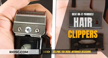 Clipper Control: Mastering the Art of DIY Haircuts