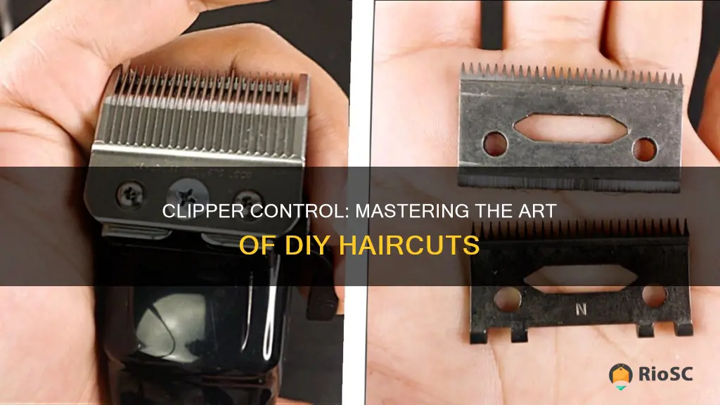 best do-it-yourself hair clippers