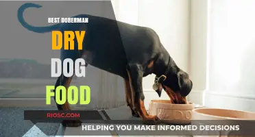 Top Picks for Your Doberman: The Best Dry Dog Food Options