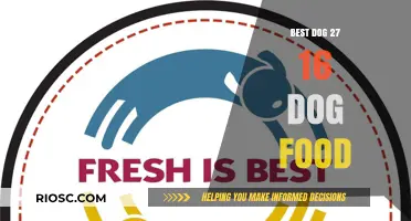 Top-Rated Dog Food: Nutritional Excellence for Your Canine Companion