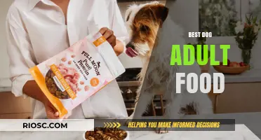 Top Picks for Your Furry Friend: The Best Adult Dog Foods of 2024