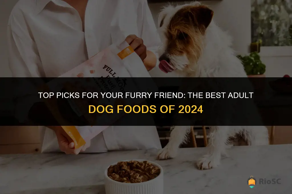 best dog adult food