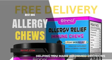Effective Relief for Your Pup: Top Dog Allergy Chews to Combat Itching and Discomfort