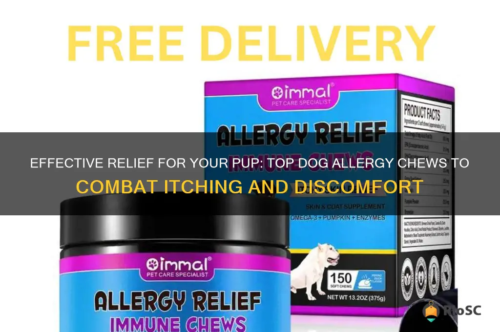 best dog allergy chews