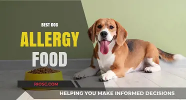 Top Picks for Allergy-Friendly Dog Food: A Comprehensive Guide