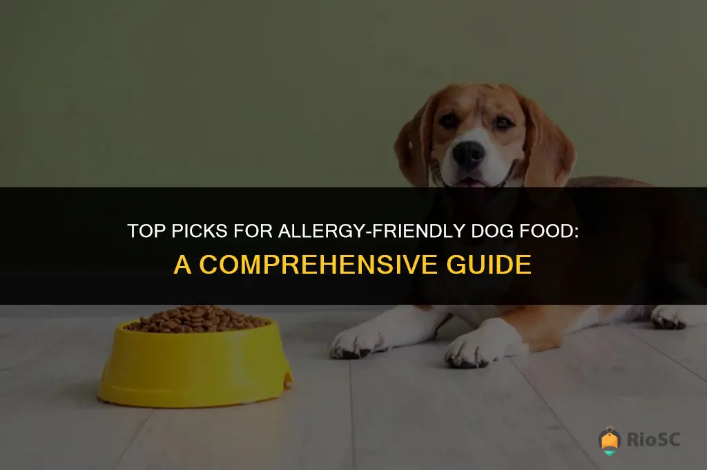 best dog allergy food