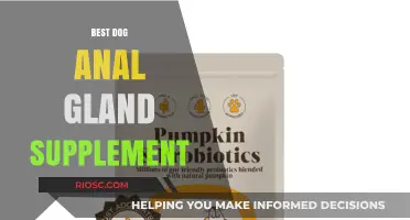 Top Dog Anal Gland Supplements for Optimal Health and Comfort
