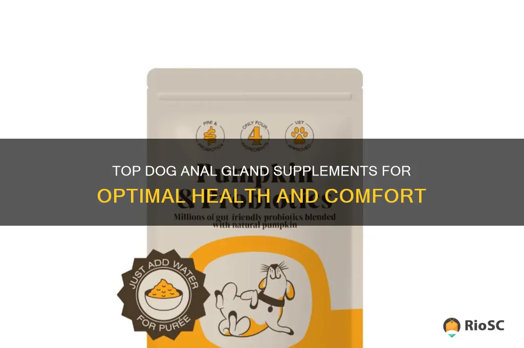 best dog anal gland supplement
