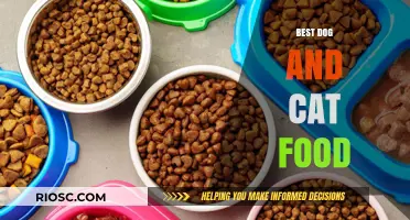 Top Picks for Your Pets: The Best Dog and Cat Food Options