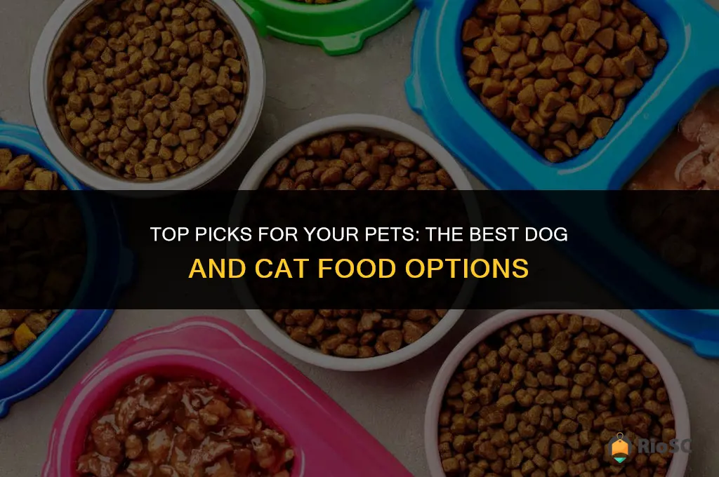 best dog and cat food