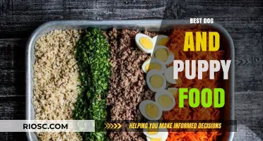 Top Picks for Your Furry Friend: Best Dog and Puppy Food Options
