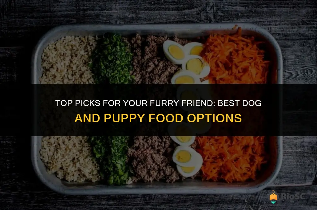 best dog and puppy food