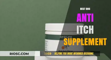 Soothing Relief: Top Anti-Itch Supplements for Dogs to Ease Discomfort and Promote Healthy Skin