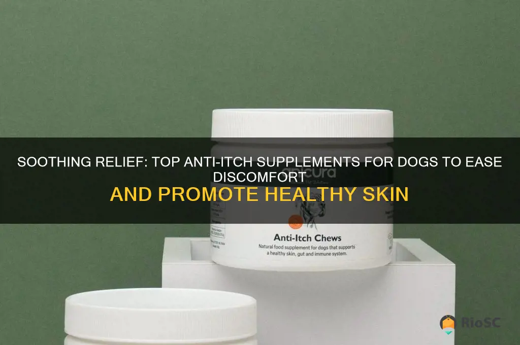 best dog anti itch supplement