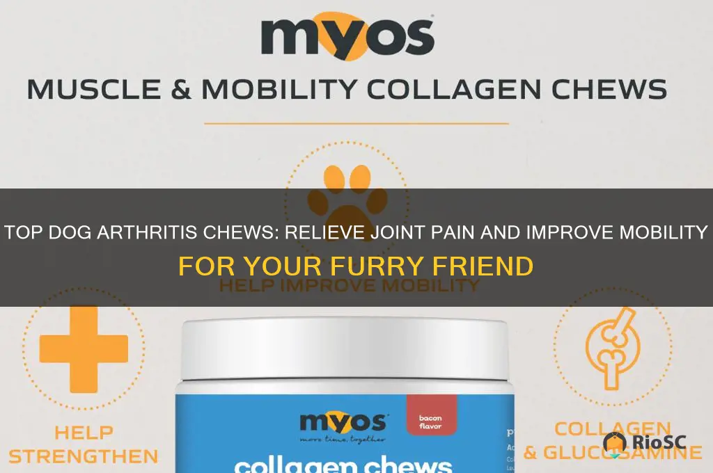 best dog arthritis chews