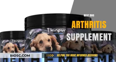Top Dog Arthritis Supplements: Relieve Pain and Improve Mobility for Your Canine Companion