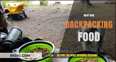 Top Picks for Your Pup: The Best Dog Backpacking Food for Adventure-Loving Canines