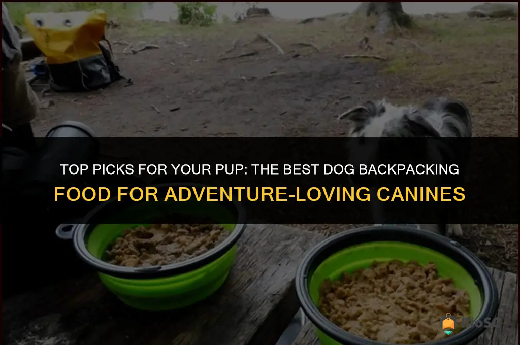 best dog backpacking food