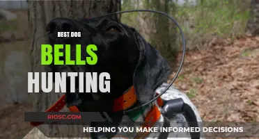 Top Dog Bells for Hunting: Enhance Your Hunting Experience with the Best Canine Communication Tools