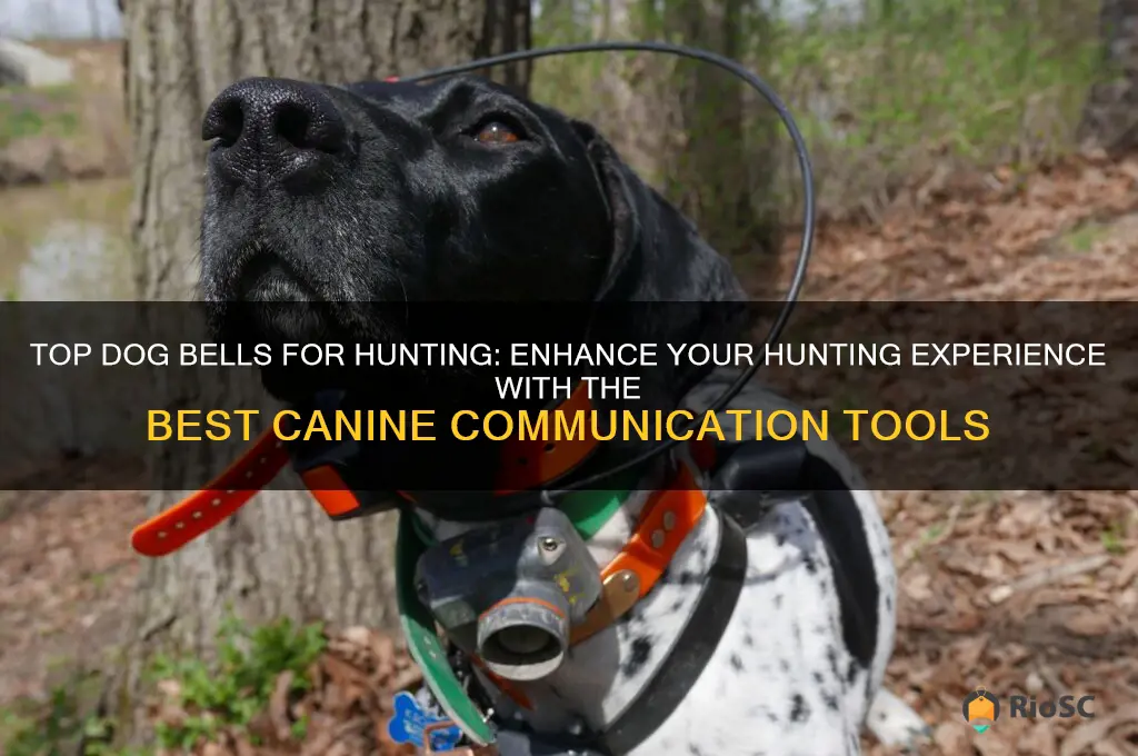best dog bells hunting