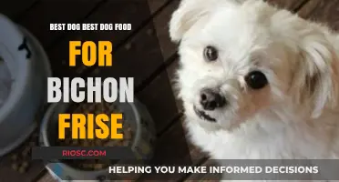Top-Rated Dog Food Options for Your Bichon Frise: A Comprehensive Guide