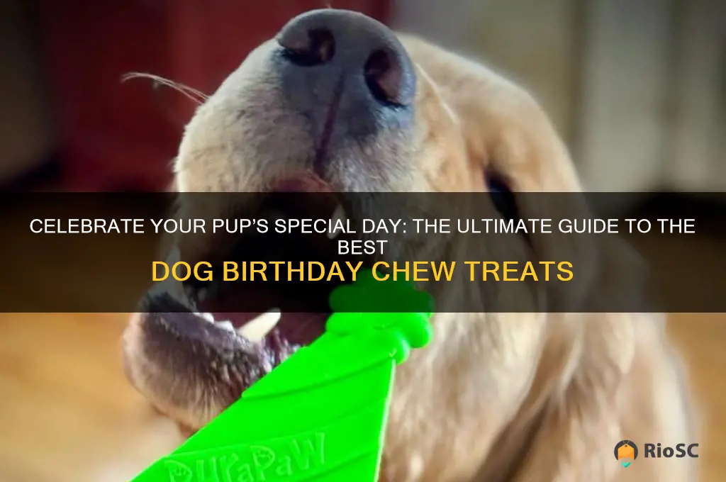 best dog birthday chew